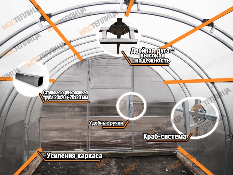 Теплица Царская Звезда