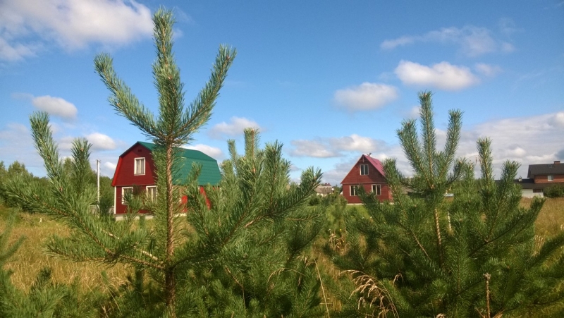 Земельные участки ИЖС в пригороде Пскова