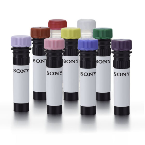 ���������� ��������  ���� �����������  ������������� ����������, ���������� ����������� �� ������� � ���������� �����������