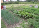 Участок 8 соток, СНТ МАЯК п.Рыбачий