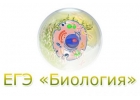 Репетитор по биологии