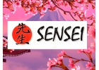 Купить Кондиционер Sensei