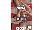 Заказать курсовую работу во Владимире