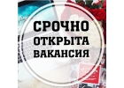 Автор студенческих работ для написания дипломных и курсовых