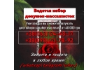 В массажный салон ведется набор девушек-массажисток